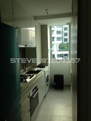 The Vermont On Cairnhill (D9), Apartment #104800922